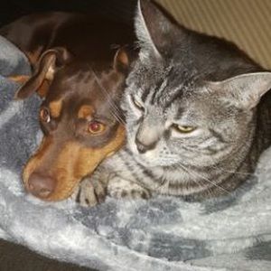 Meet your Posher, Chloe